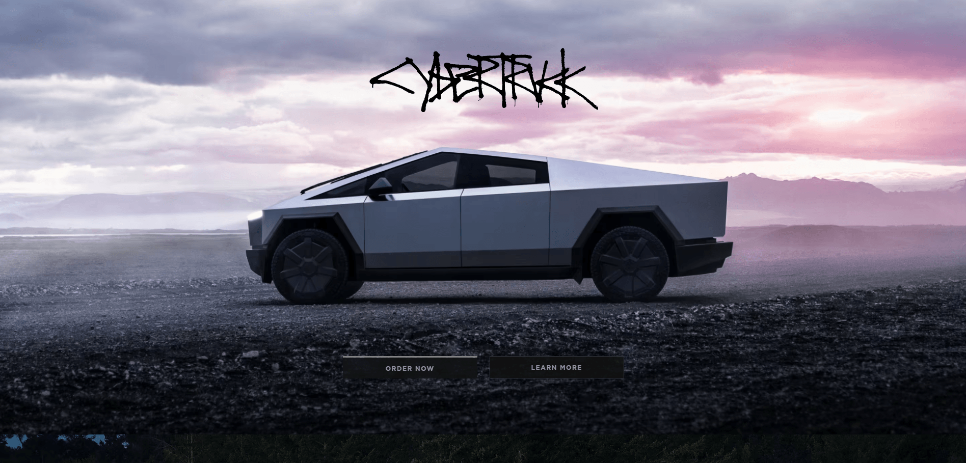Tesla challenger brand