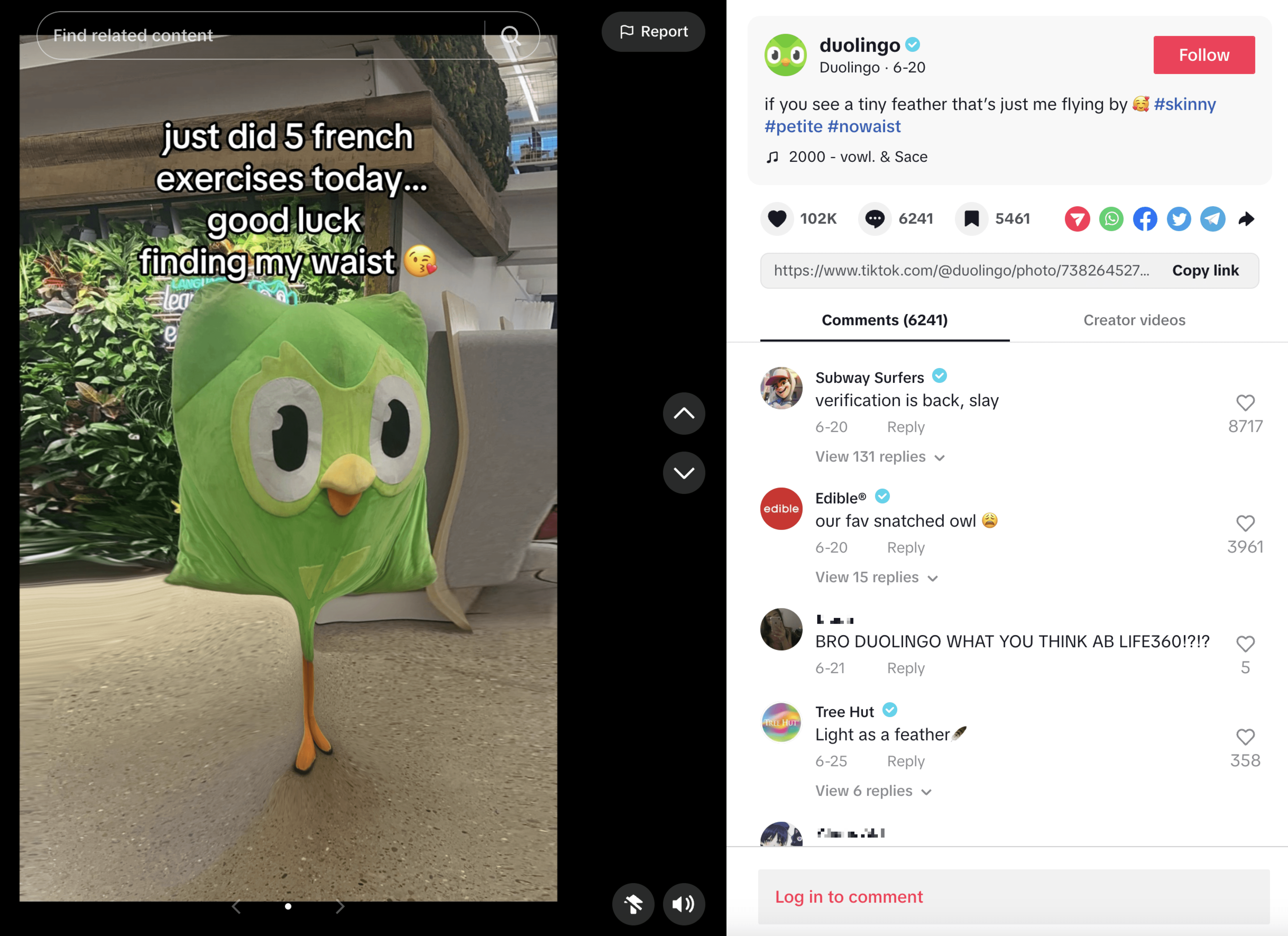 duolingo tiktok