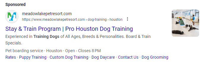 PPC ad on Google for Houston dog training services