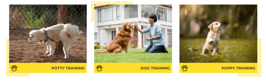 Cards with pictures of dogs showing training services offered by a dog training company, including potty training, dog training, and puppy training