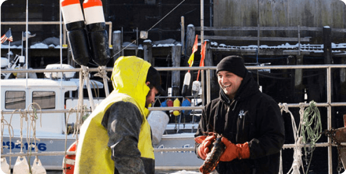 maine lobster now case study