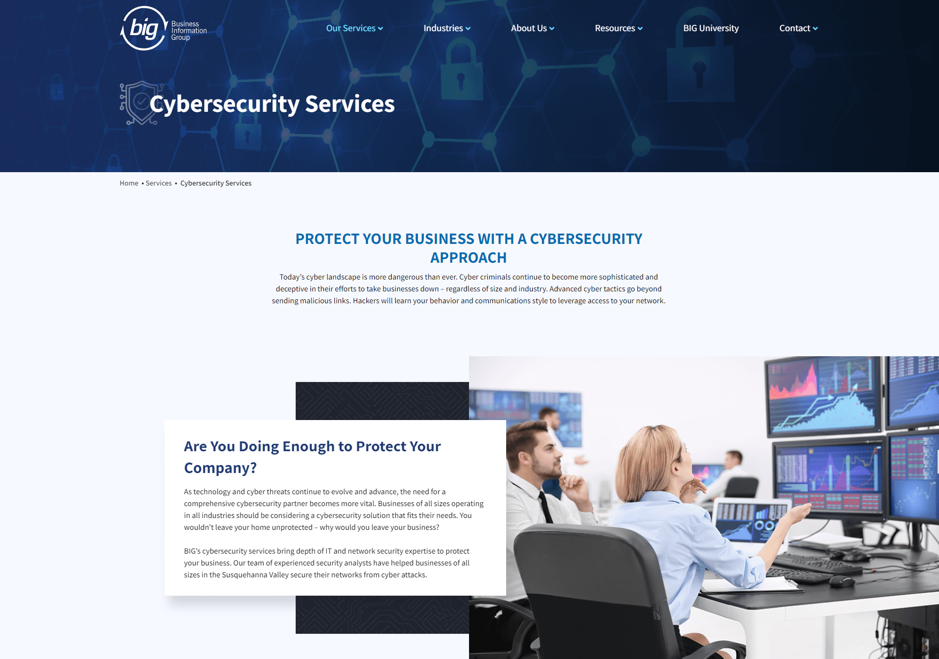 big business web design