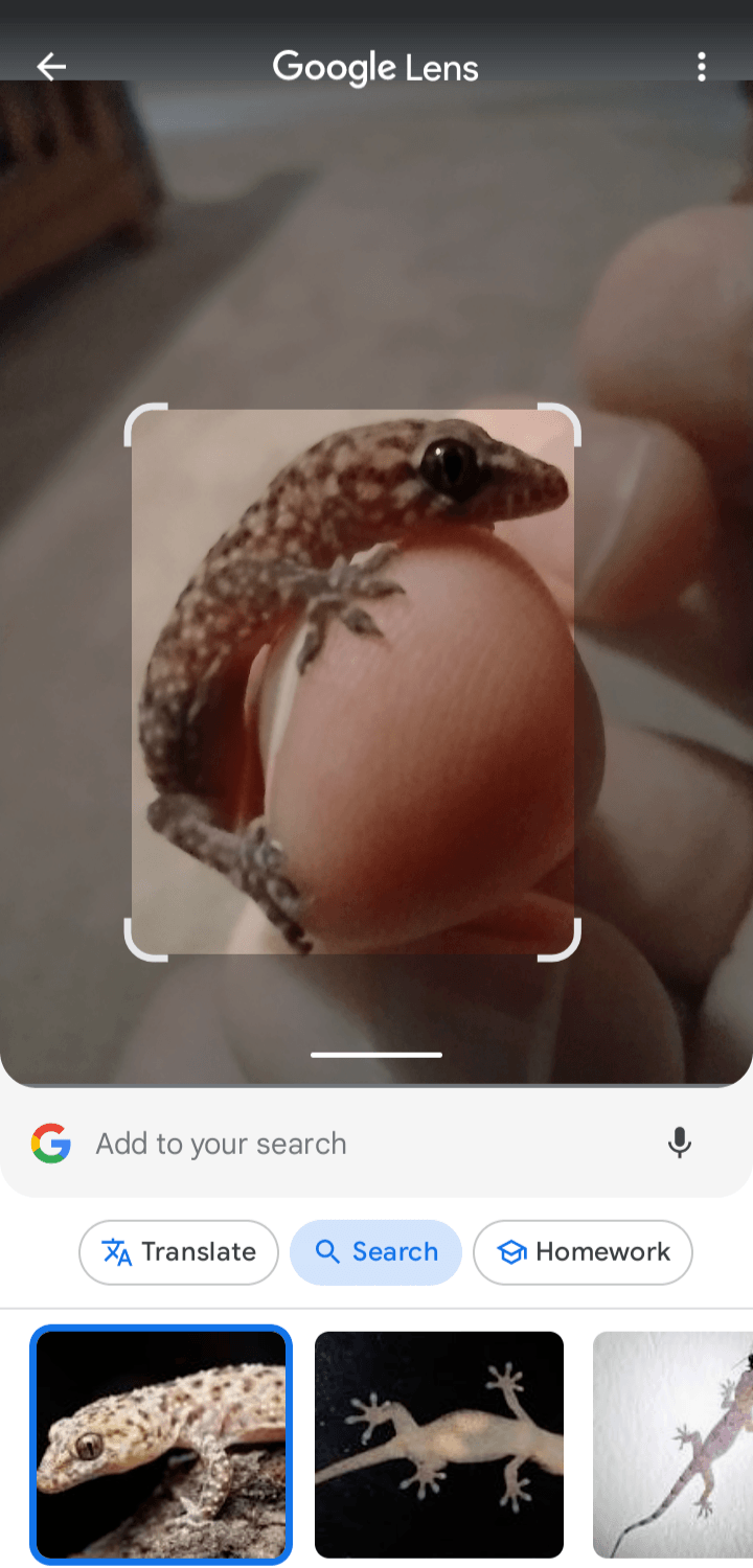 google lens walkthrough 6