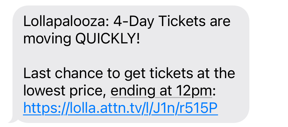 lollapalooza sms marketing message with large audience