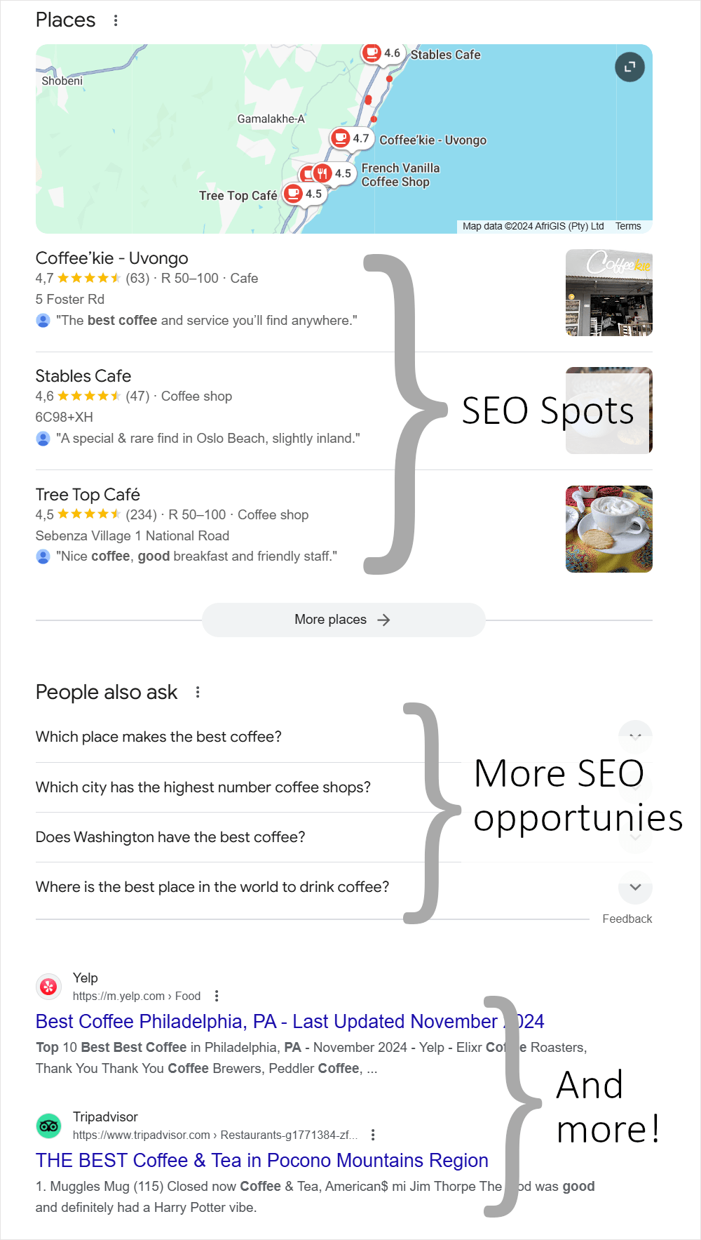 SEO SERPs