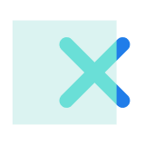 x mark icon