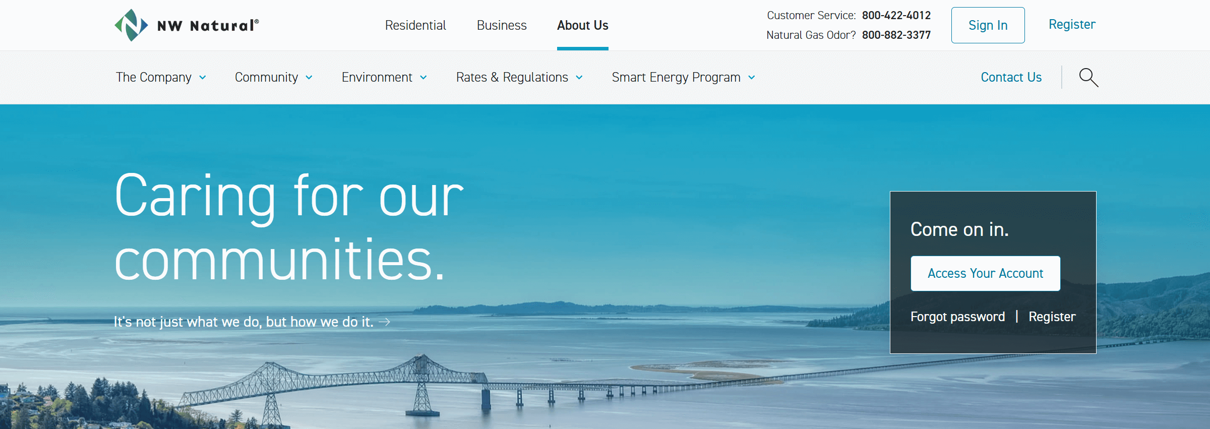 Gas company's website and branding example