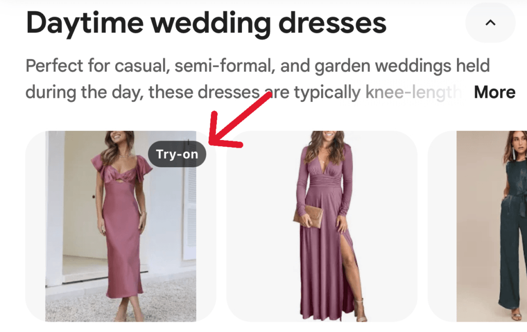 google search for dresses e1732307833830 1024x645