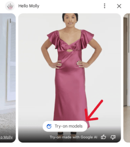 try on models e1732307663499 264x300