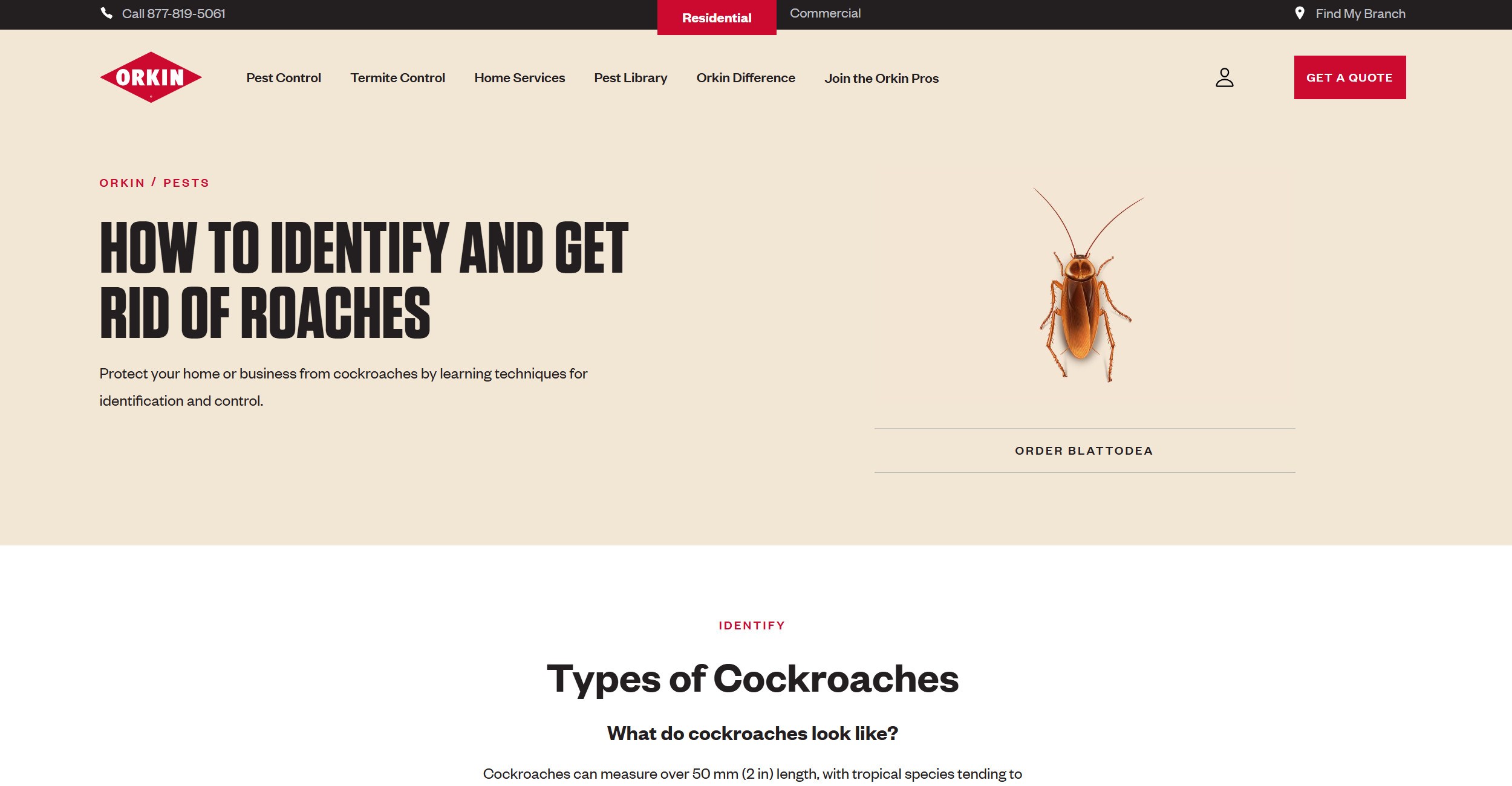 Content Marketing for pest control companies