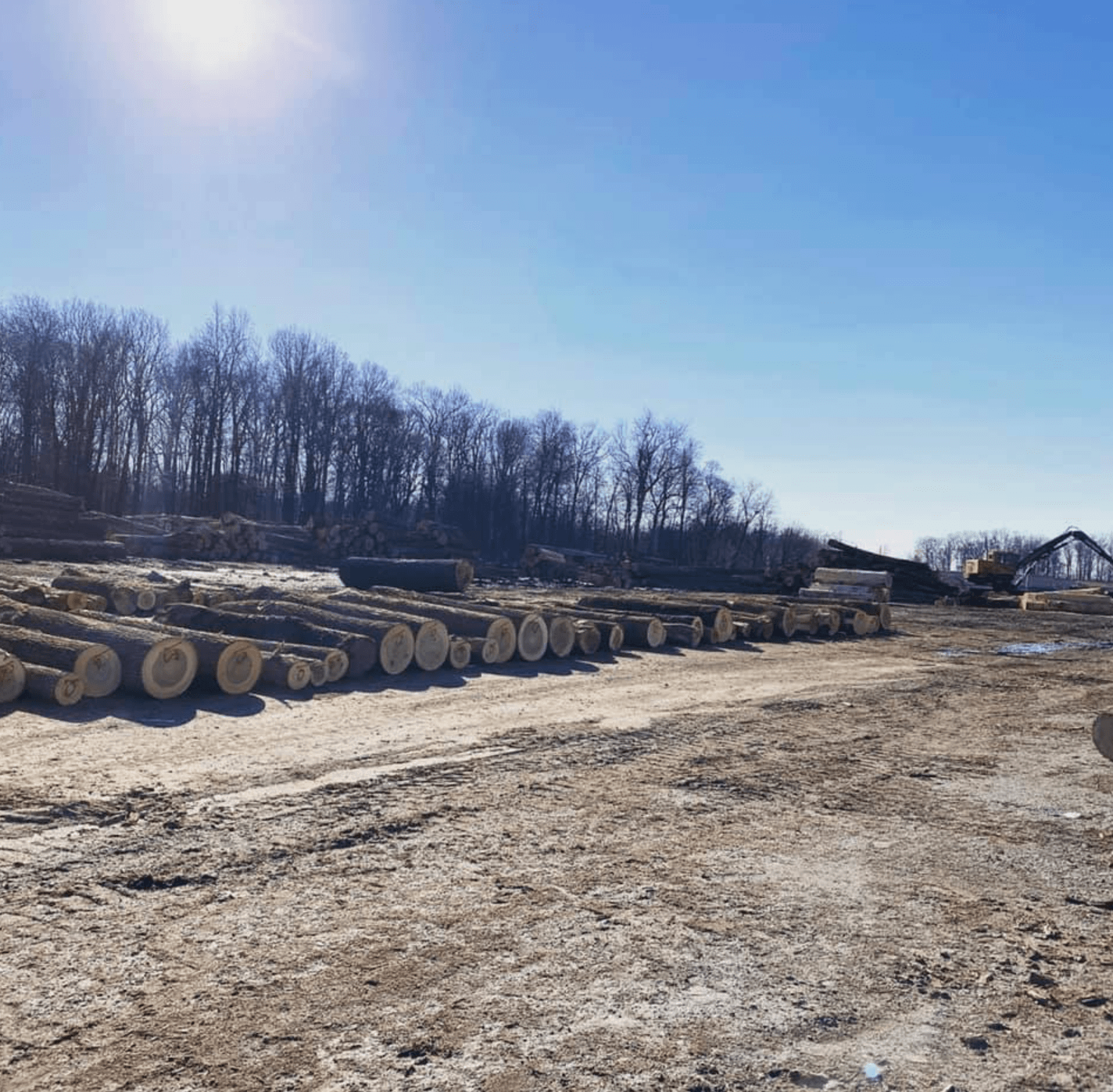 beilers sawmill 2