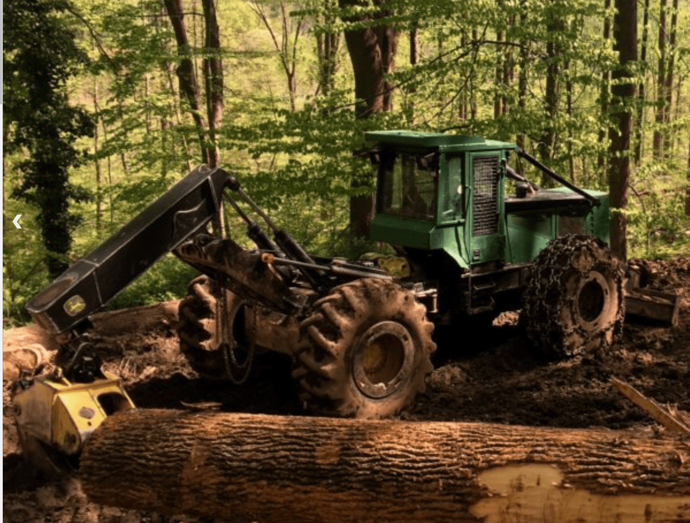beilers sawmill action