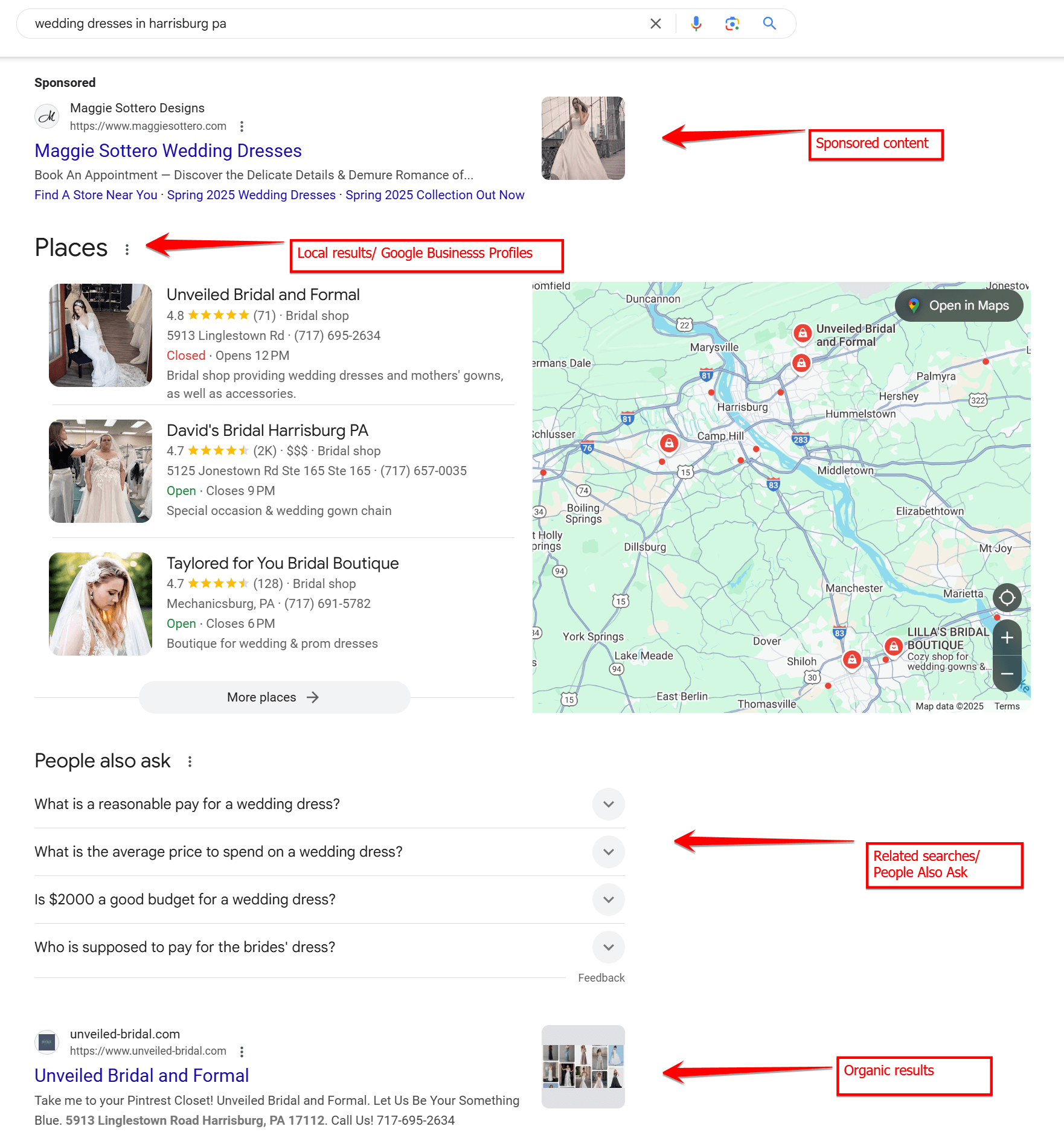 serp breakdown