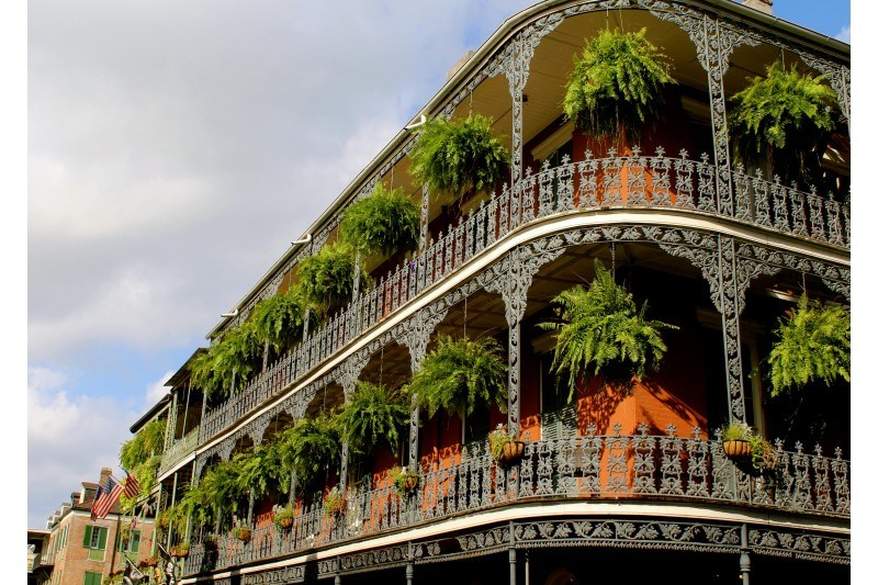 White High-rise Building With Green Leaf Hanging Plants