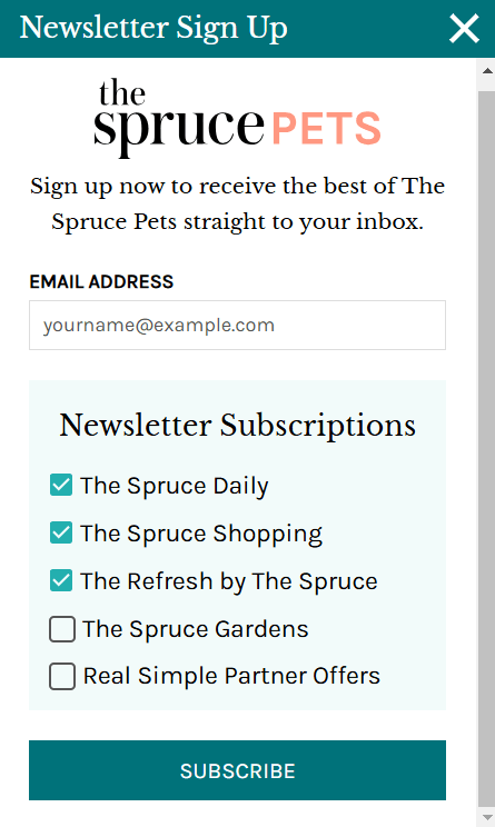 preferences in email subscription
