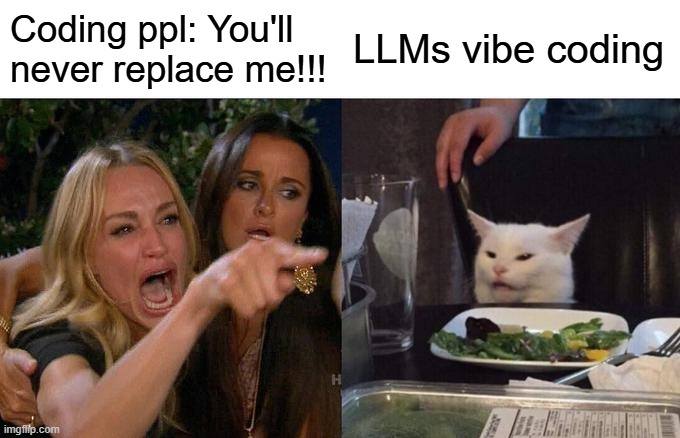 Woman Yelling at Cat meme Vibe Coding