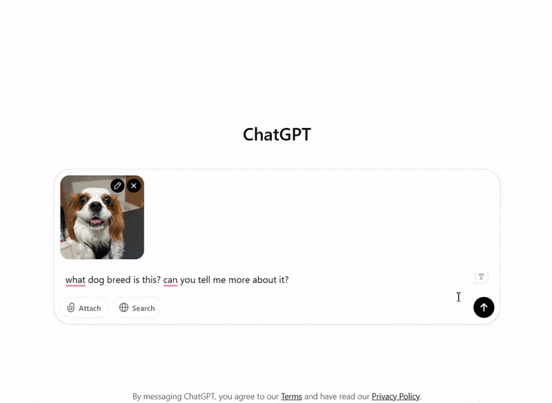 chatgpt in action