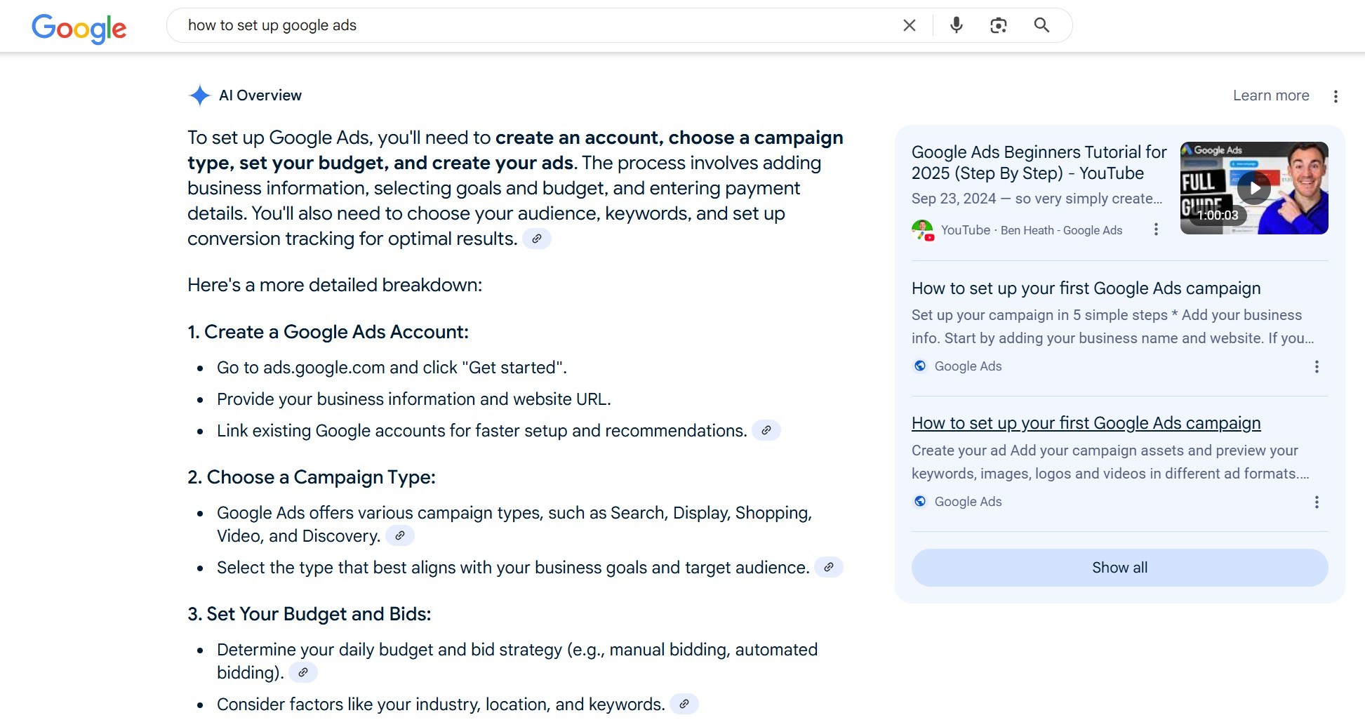 AI overview for the search how to set up google ads