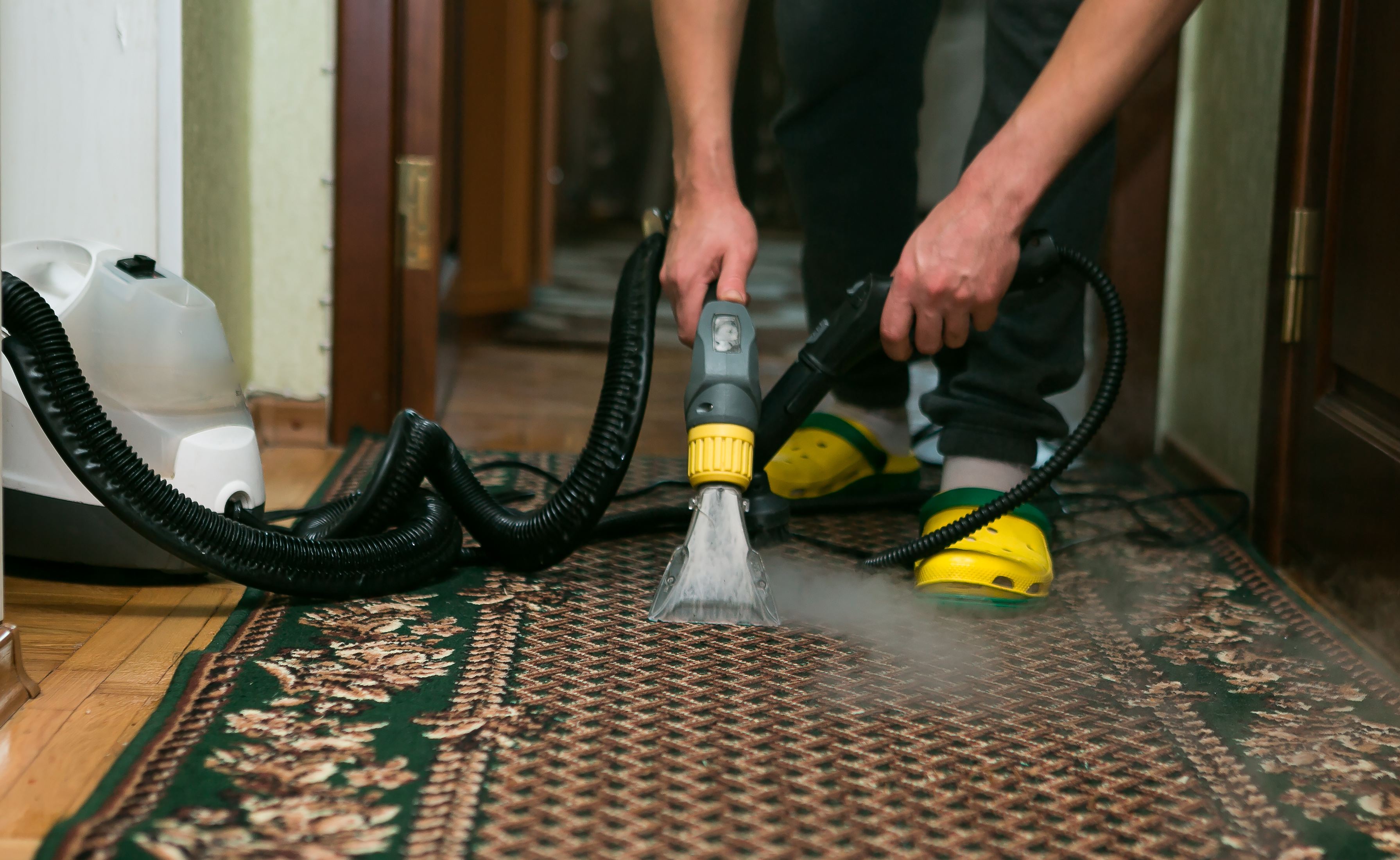 The process of cleaning carpets with a steam vacuum cleaner. An employee of a cleaning company cleans the carpet using steam.