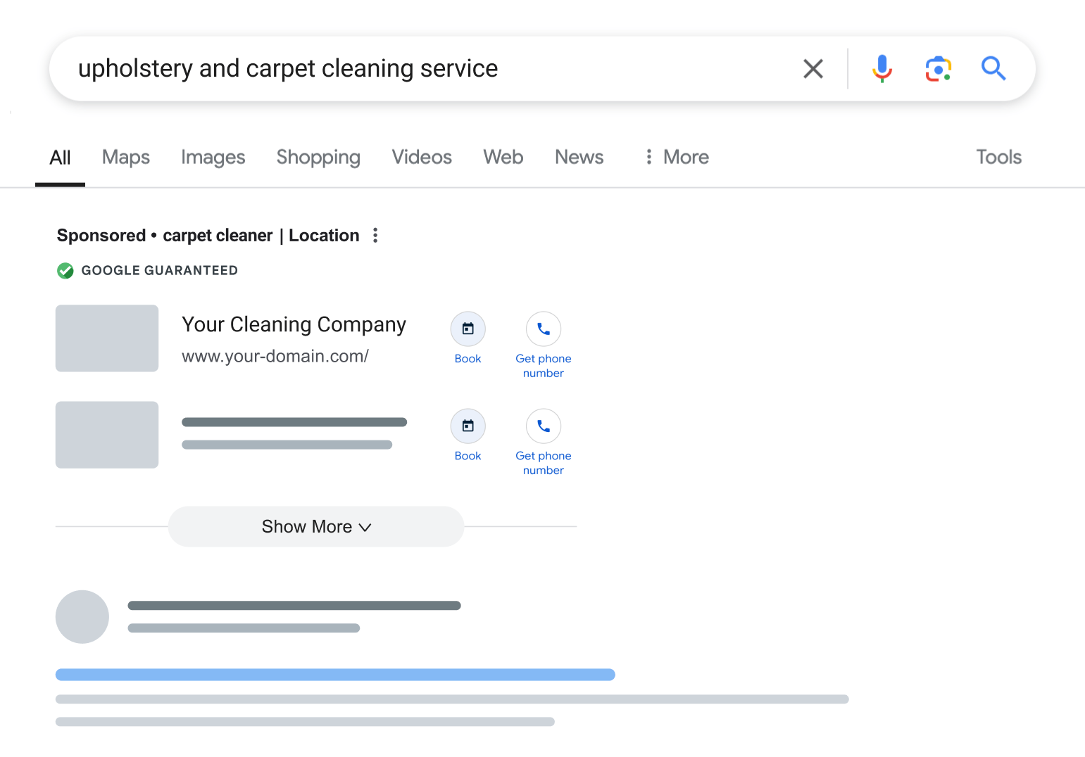 LSA mockup for carpet cleaners