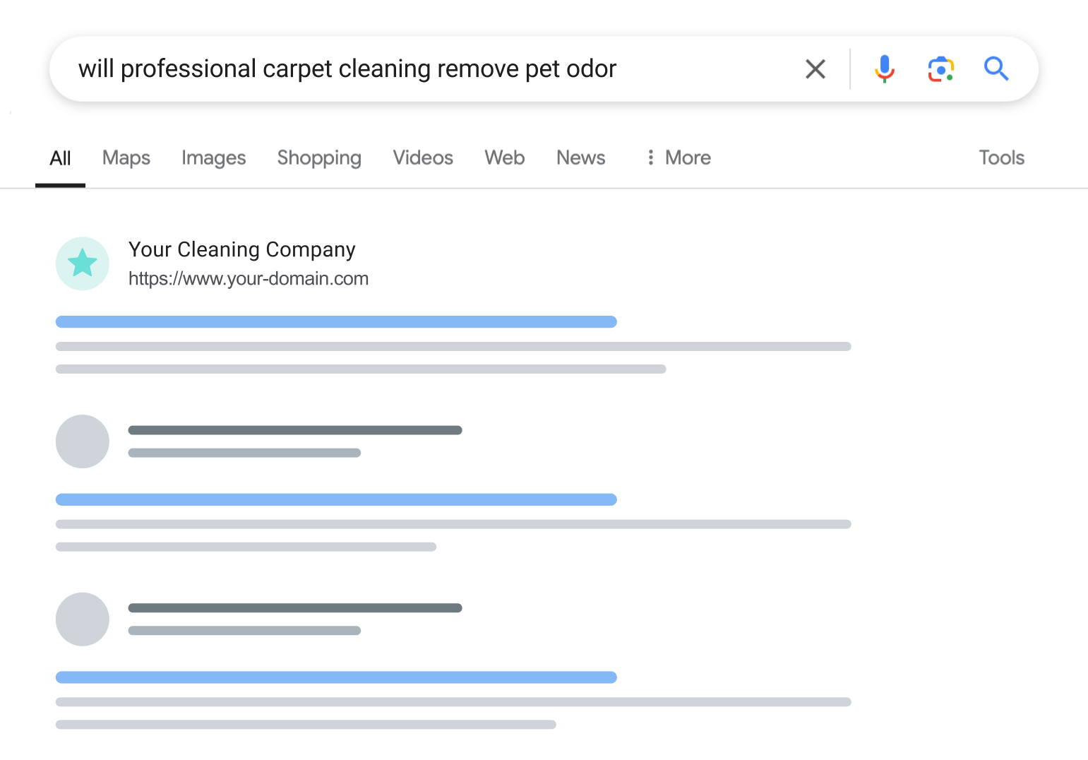 Carpet cleaning search result