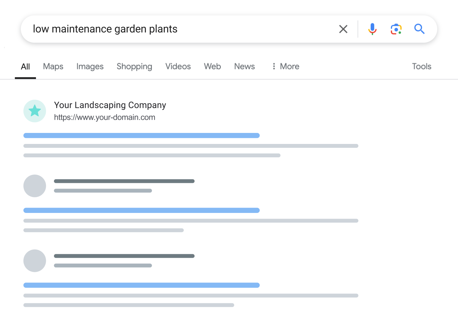 a google search for low maintenance garden plants