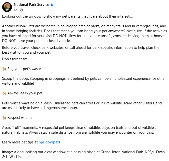 savable content nps