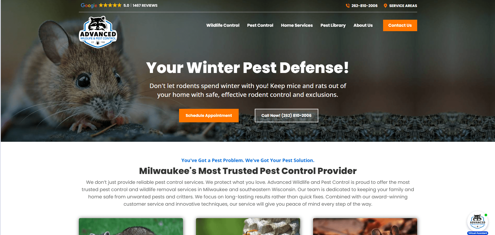 pest control site desktop version