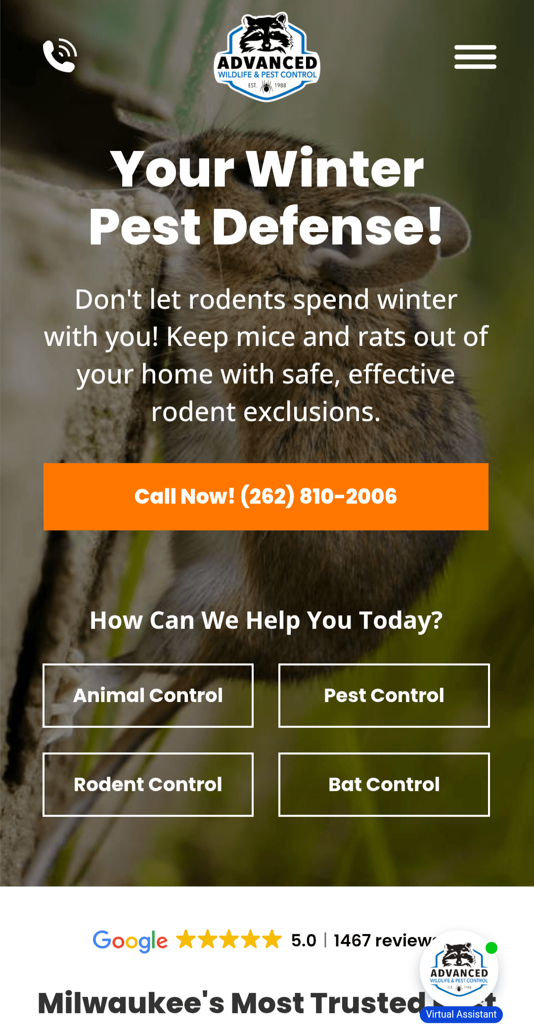 pest control site mobile version