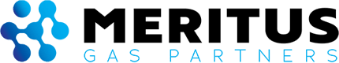 meritus logo